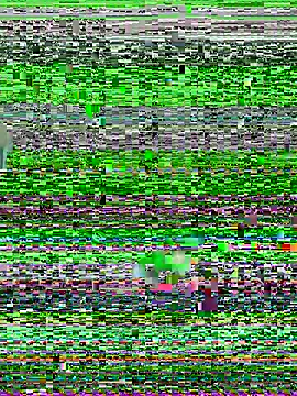 YawlingJingoist online show from March 19, 2026, 11:20 pm