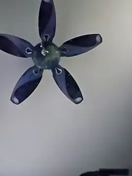 Snapshot of honeymex chatting on September 18, 2025, 10:56 pm honeymex online show from September 18, 2025, 10:56 pm