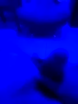 Snapshot of NICXUSS chatting on December 4, 2025, 7:50 am NICXUSS online show from December 4, 2025, 7:50 am