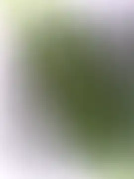 mrwright878787 online show from December 27, 2024, 7:14 pm