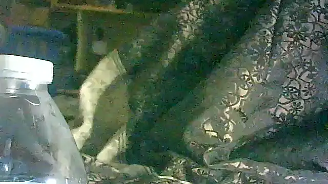 DI4MOND FIR3 online show from March 17, 2026, 5:55 am