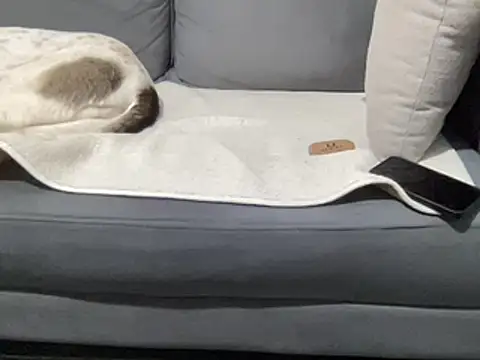 4small4inchlol online show from March 15, 2025, 11:19 am