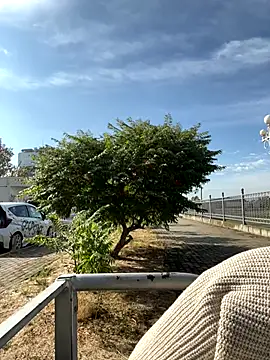 Snapshot of SandraCarter chatting on September 18, 2025, 6:04 am SandraCarter online show from September 18, 2025, 6:04 am