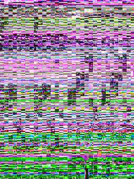 SandraCarter online show from June 7, 2026, 7:12 am