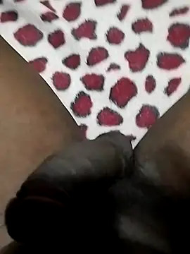 Snapshot of Pua009 chatting on February 26, 2026, 10:20 pm Pua009 online show from February 26, 2026, 10:20 pm