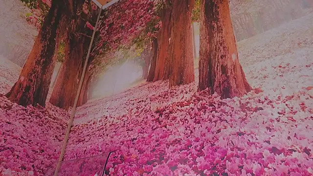 Wet nympho online show from May 3, 2026, 6:52 am