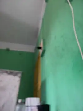 aryanush online show from February 8, 2025, 5:18 am