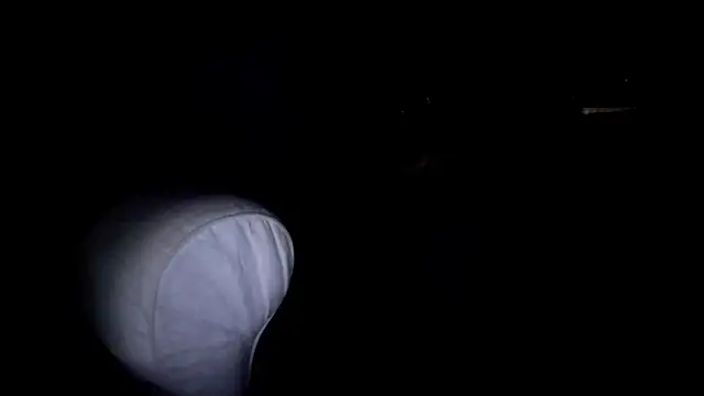 Snapshot of byakkotorra chatting on March 5, 2025, 9:48 pm byakkotorra online show from March 5, 2025, 9:48 pm