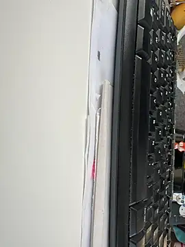 Snapshot of byakkotorra chatting on March 6, 2025, 4:38 pm byakkotorra online show from March 6, 2025, 4:38 pm