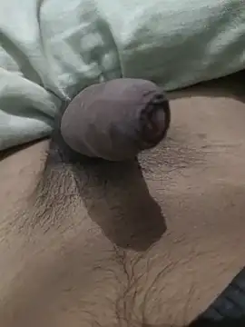 Snapshot of iaparna chatting on January 9, 2025, 5:54 pm iaparna online show from January 9, 2025, 5:54 pm