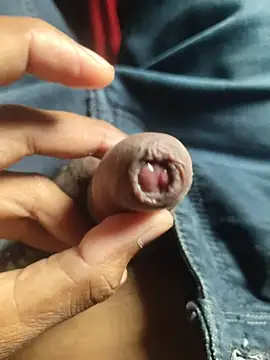 Snapshot of iaparna chatting on November 17, 2025, 7:58 am iaparna online show from November 17, 2025, 7:58 am