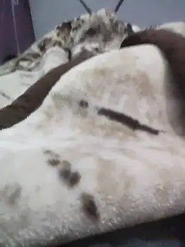 Snapshot of iaparna chatting on December 16, 2025, 4:23 pm iaparna online show from December 16, 2025, 4:23 pm