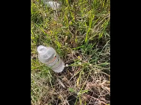 Snapshot of boy_BeardGallery chatting on November 10, 2025, 9:52 am boy BeardGallery online show from November 10, 2025, 9:52 am