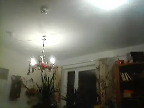 Bigpenis6y online show from December 10, 2024, 6:17 pm