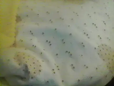 Bigpenis6y online show from January 24, 2025, 5:21 am