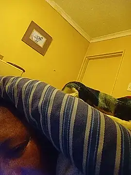 bustybillies online show from June 28, 2026, 2:06 am