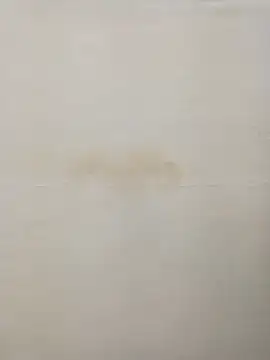 Rina777o online show from December 30, 2024, 8:36 pm