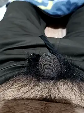 Snapshot of punjabimunda28 chatting on January 27, 2025, 4:52 am punjabimunda28 online show from January 27, 2025, 4:52 am