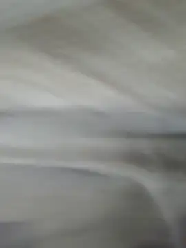 lm279 online show from November 1, 2025, 3:58 pm