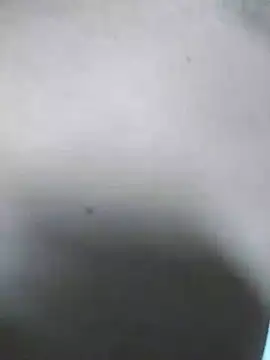 QcMisterv13 online show from July 31, 2026, 10:14 am