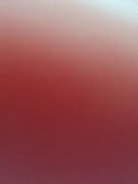 chouchitta123 online show from November 19, 2025, 5:24 pm