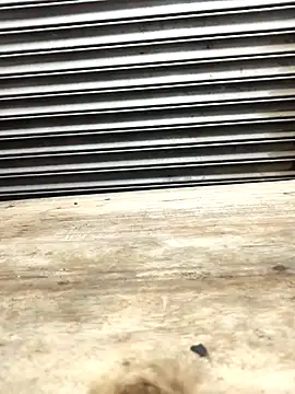 Snapshot of Bhabhi_desi12 chatting on November 9, 2025, 9:18 am Bhabhi desi12 online show from November 9, 2025, 9:18 am