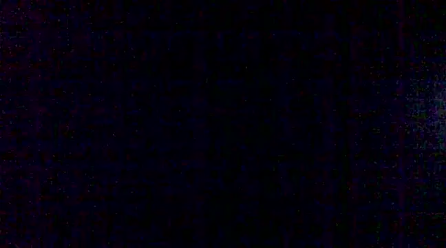 steelwings1976 online show from January 14, 2025, 4:08 pm