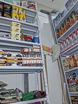 Katia sweetx online show from April 13, 2026, 1:38 pm