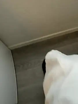 Snapshot of YoungCouple0604 chatting on January 18, 2026, 10:08 am YoungCouple0604 online show from January 18, 2026, 10:08 am