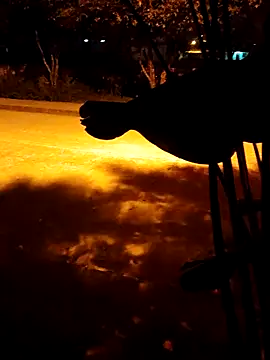 BeetledFlouter12 online show from March 5, 2026, 3:24 am