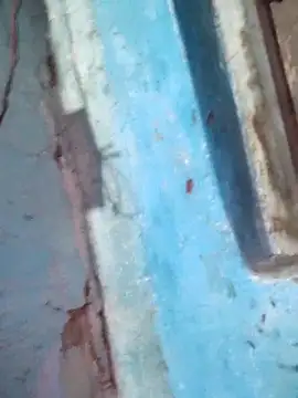 Natasha-In69 online show from December 15, 2025, 8:46 pm