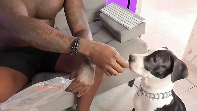 Dvid Rullers online show from September 16, 2025, 12:50 pm