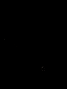 cindy damm online show from April 24, 2026, 12:24 am