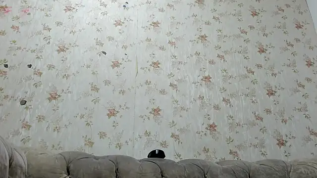 Snapshot of fer_dz chatting on January 31, 2025, 11:56 am fer dz online show from January 31, 2025, 11:56 am