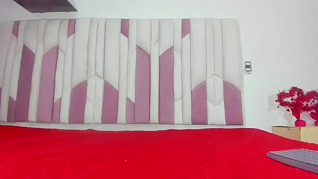 Snapshot of fer_dz chatting on March 8, 2025, 11:58 am fer dz online show from March 8, 2025, 11:58 am