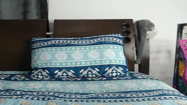 Tobicutee online show from February 5, 2026, 4:17 am