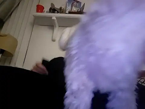 Hand69someguy online show from January 10, 2026, 6:37 am