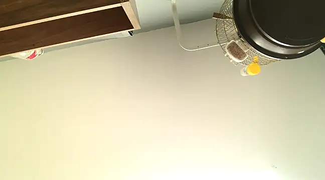 Snapshot of themany29 chatting on January 27, 2025, 8:17 pm themany29 online show from January 27, 2025, 8:17 pm