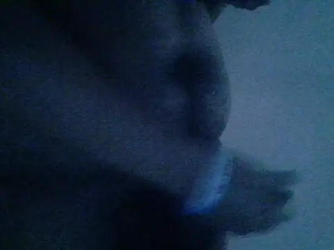 mateomalp675 90 online show from April 28, 2026, 3:28 pm