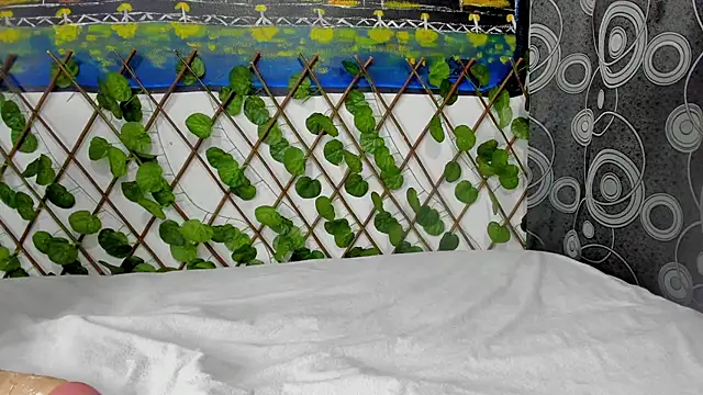 ANEVANS2 online show from January 13, 2025, 2:42 pm