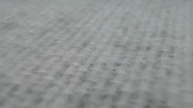 Snapshot of _Zooee chatting on January 27, 2025, 4:22 pm Zooee online show from January 27, 2025, 4:22 pm