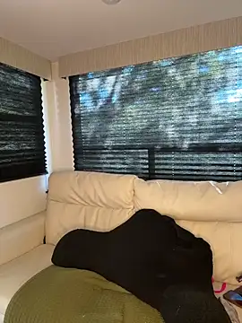 Snapshot of butterflybootyy chatting on September 24, 2025, 2:20 pm butterflybootyy online show from September 24, 2025, 2:20 pm