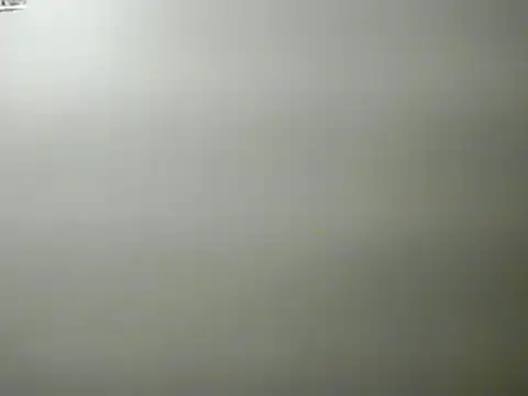 lilbishmiss online show from January 29, 2025, 1:58 am