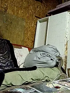 lilbishmiss online show from October 16, 2025, 11:50 pm