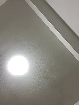 Snapshot of islandvybee55 chatting on January 3, 2025, 8:00 am islandvybee55 online show from January 3, 2025, 8:00 am