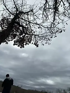 ErPumas126 online show from January 11, 2025, 11:34 am