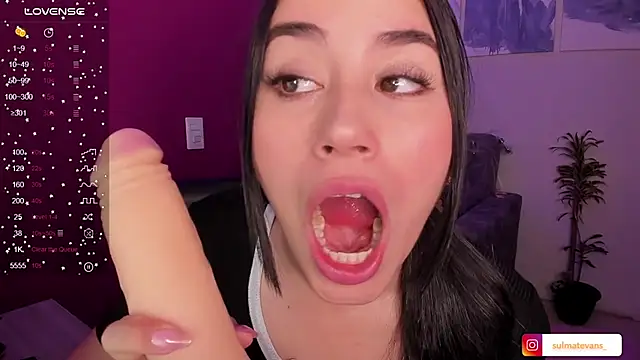 Snapshot of _sulmatevans_ chatting on December 5, 2024, 9:17 am sulmatevans online show from December 5, 2024, 9:17 am