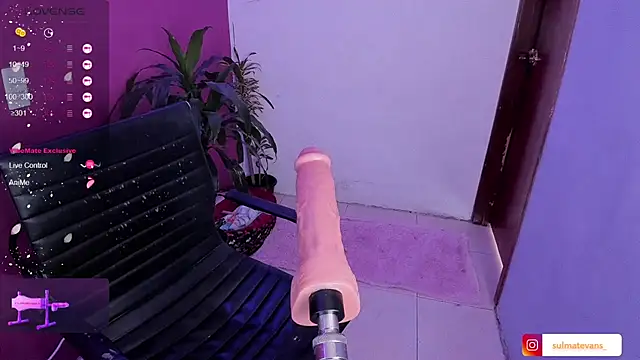 Snapshot of _sulmatevans_ chatting on January 19, 2025, 5:49 pm sulmatevans online show from January 19, 2025, 5:49 pm