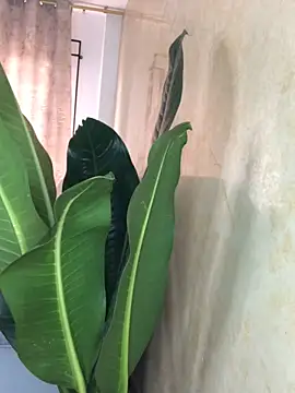 EmmaRossem online show from March 31, 2026, 7:36 pm