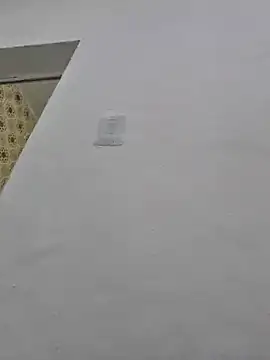 Snapshot of loiraodanadinha chatting on December 11, 2024, 5:04 pm loiraodanadinha online show from December 11, 2024, 5:04 pm